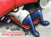PS Werkstatt Schwindt